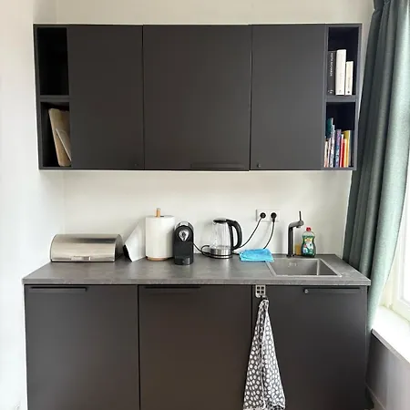 Panoramic Ami Canal View House 公寓 阿姆斯特丹